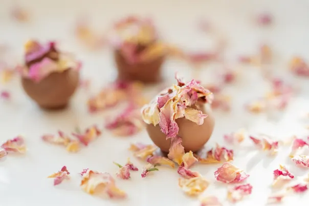 JokerBet Casino Android/iOS Lietotne